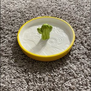 Trinket Tray/Cocktail Rimmer